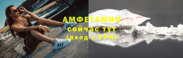 индика Михайловка