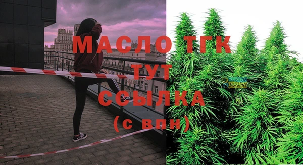 твердый Медногорск