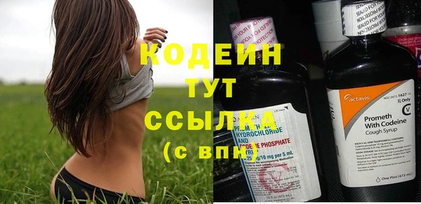 индика Михайловка