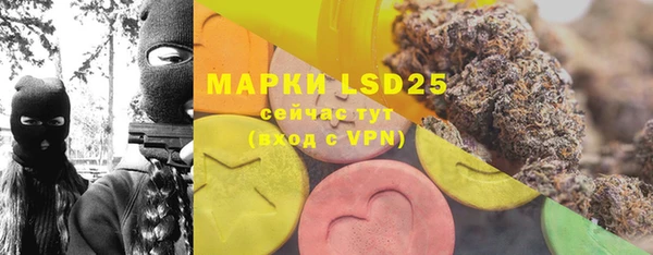 индика Михайловка