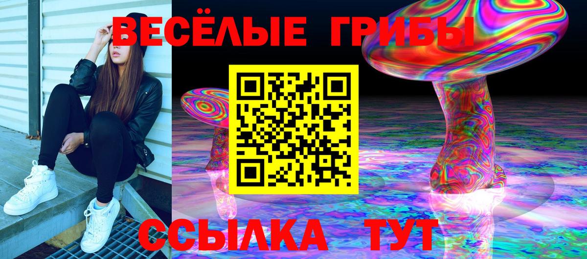 Псилоцибиновые грибы Cubensis Лабинск
