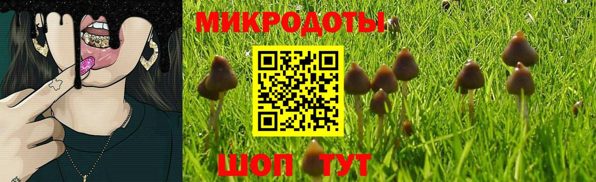 Галлюциногенные грибы GOLDEN TEACHER  Вход с VPN  Галлюциногенные грибы MAGIC MUSHROOMS  Лабинск 